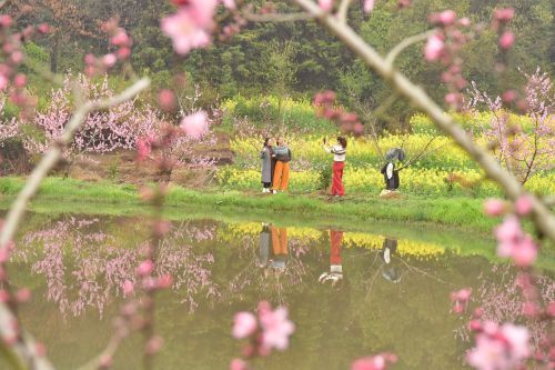 微信图片_20260321145312_45_5663