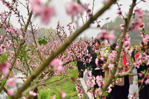 微信图片_20260321145317_46_5663