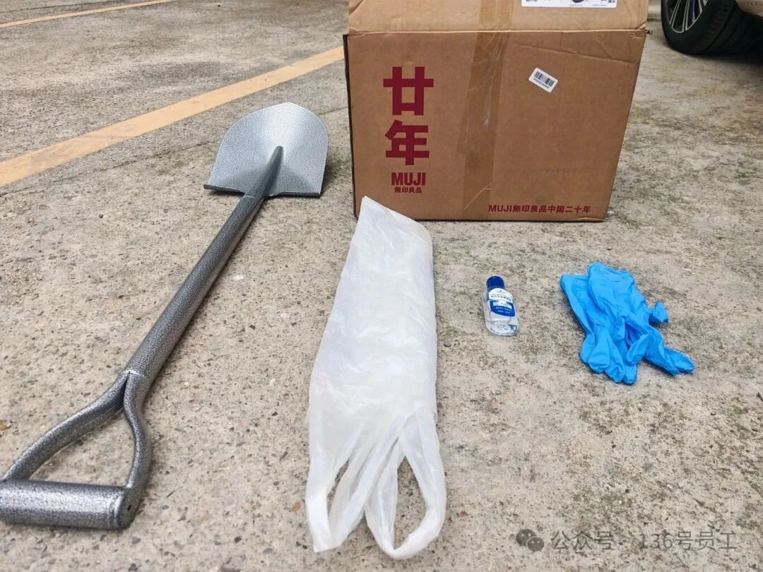 这场流浪动物车祸，因为一通电话有了个新结局