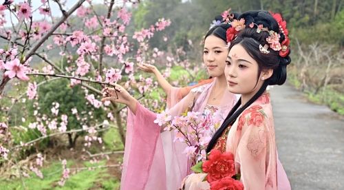 当十里桃林遇见国风花神，崇仁许坊乡美成了古风画卷