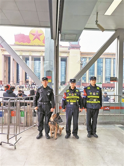 它们是警队“尖兵” 也是需要毕业证的孩子